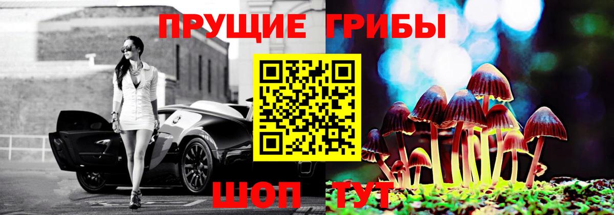 Галлюциногенные грибы Magic Shrooms  купить наркотик  Лиски  Вход с VPN 